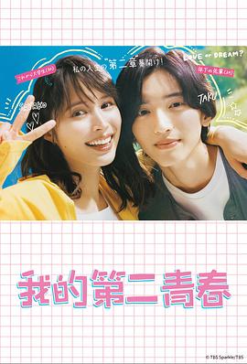 阜新企业网站优化哪里好